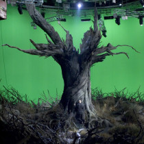 Ancient tree ship set - Filming