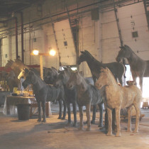Here the assembly line and finition of the different type of horses all together. Sculpture in styro for the bigger ones and in clay for the small ones, molded and casted in plaster. Smaller ones with saddles were sculpted by Tino Petronzio and Mao Clavet