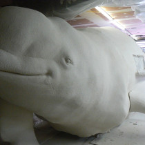 LE SENS DE L'HUMOUR  2010 - Beluga sculpture; head, tail and pectoral fin sculpted out of styro foam, body in wooden laths covered with metal mesh. Overall coat of projected plaster. 34 ft long